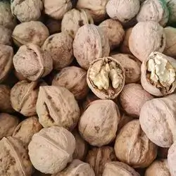 Fresh Nut