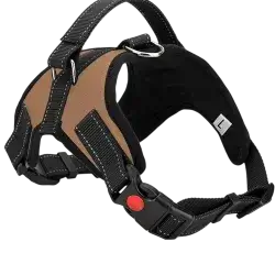 Harness L