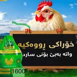 Chicken 1600 Gram