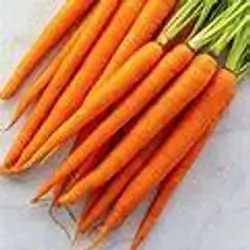 Carrots