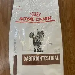 Gastrointestinal s/o