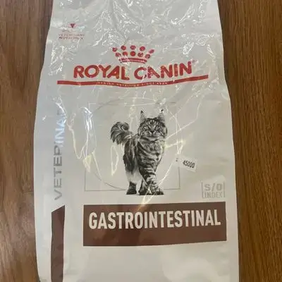 Gastrointestinal s/o