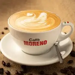 Normal Hot Latte