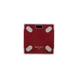 Iscale Electronic Scale