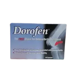 Dorofen Glucosamine + Ginkgo Biloba 40 Capsules _ LIPTIS