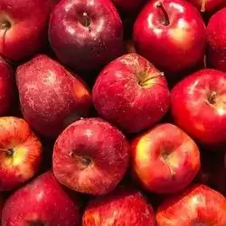 Red Apple
