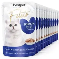 Bestpet Salmon 24X
