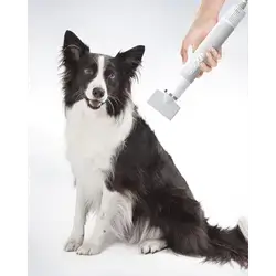 Professional Pet Hair Grooming Dryer