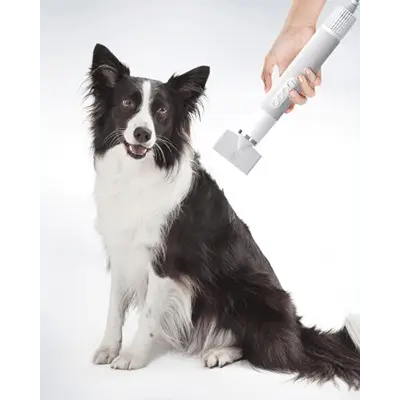 Professional Pet Hair Grooming Dryer