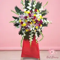 Stand Flowers-Colors