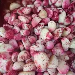 Garlic 