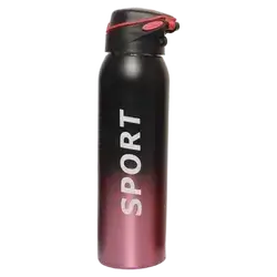 Water Bottel-Sport-Nikl