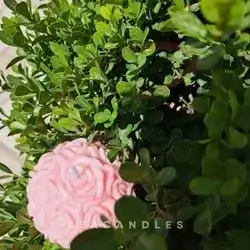 Roseball Candle I