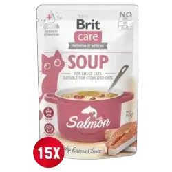 Soup with Salmon 15x