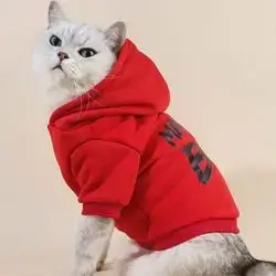 Hoodie S