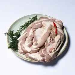 Intestine