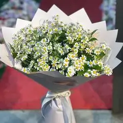 Flower Bouquet chamomile