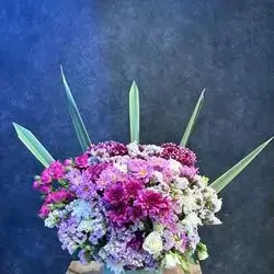 بۆکسی گوڵ پراو پر لە جوانی و ناسکی