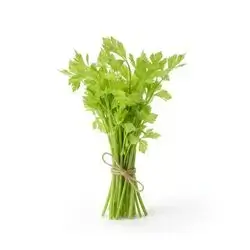 Celery