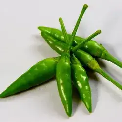 Hot Pepper
