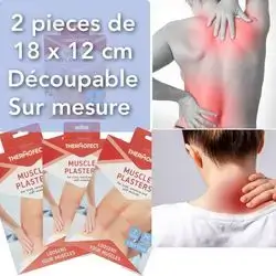 MUSCLE PLASTERS (for tired,sensitive and stiff muscles)2pieces