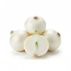 White Onion - Medium