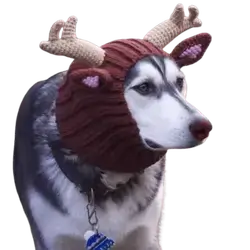 E52 Pet Hat deer style