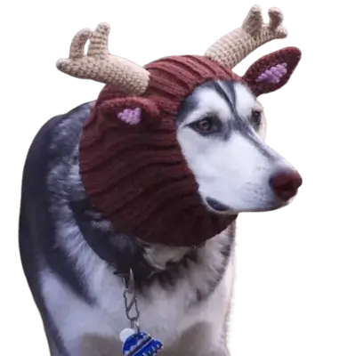E52 Pet Hat deer style