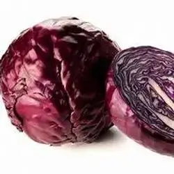 Red Cabbage