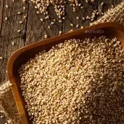 Sesame Flour