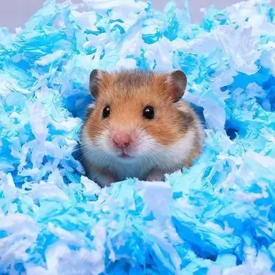 E921 Hamster Bedding Paper