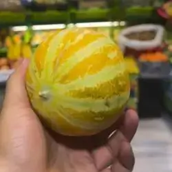 Melon Cantaloupe