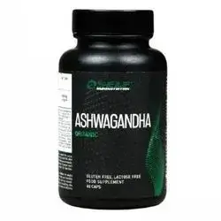 ashwagandha organic 600mg tab