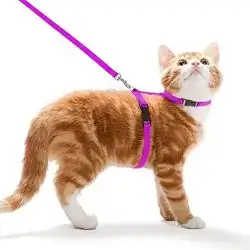 Cat Leash & Harness 15-25cm