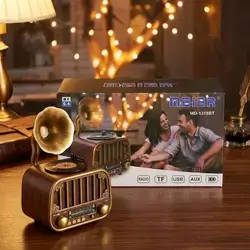 Phonogram-shaped speaker, radio, and Bluetooth device, high quality