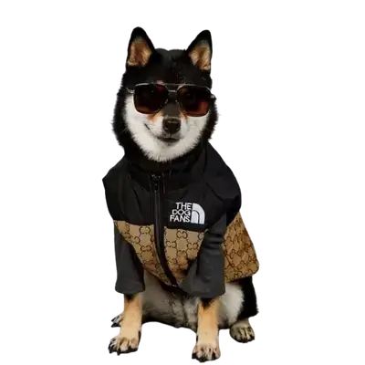 E116 Pet Clothes