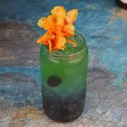Blackberry Mojito