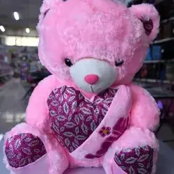 Pink Teddy Bear