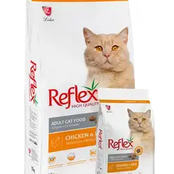 Reflex cats Kitten 15k