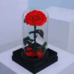 Forever Rose