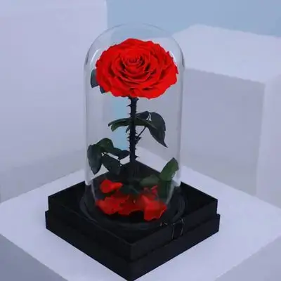 Forever Rose