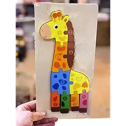 Toy