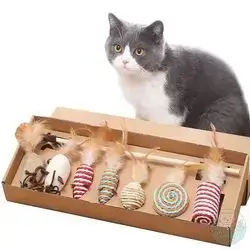 Cat Toy Set