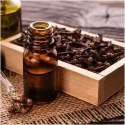 Cloves Oil 