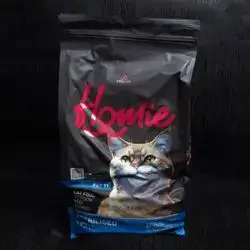 Homie-Adult-Sterilised