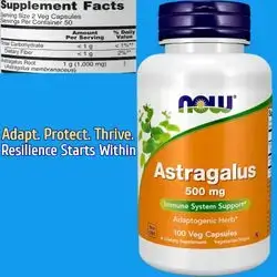 NOW Supplements, Astragalus, Astragalus membranaceus, 500 mg, Immune System, Kidney Function, Healthy Aging, Stress Support, 100 Capsules Astragalus
