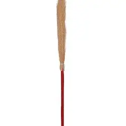 Witch brooms stick