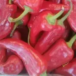 Red Pepper