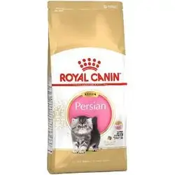 Persian Kitten 2 Kg