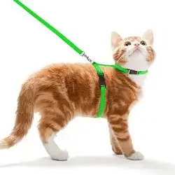 Cat Leash & Harness 15-25cm